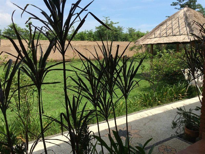 Balangan Garden Bungalow Pecatu Extérieur photo